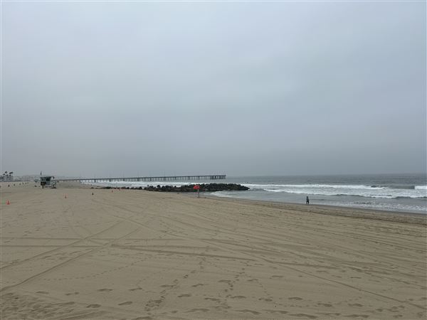 Venice Beach, Boardwalk, Pier & Recreation Center (8/14/2025 - Credits: Brandy Davis)