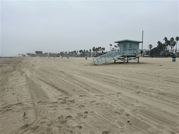Venice Beach, Boardwalk, Pier & Recreation Center (8/14/2025 - Credits: Brandy Davis)