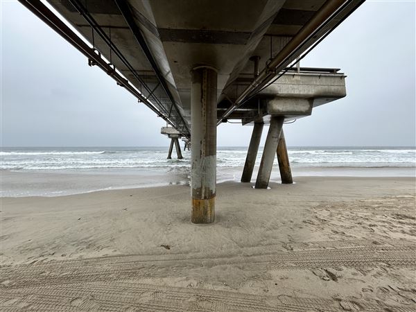 Venice Beach, Boardwalk, Pier & Recreation Center (8/14/2025 - Credits: Brandy Davis)
