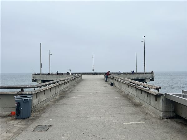 Venice Beach, Boardwalk, Pier & Recreation Center (8/14/2025 - Credits: Brandy Davis)