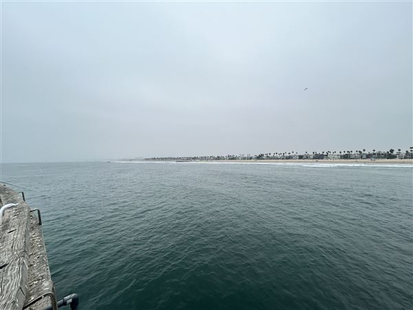 Venice Beach, Boardwalk, Pier & Recreation Center (8/14/2025 - Credits: Brandy Davis)