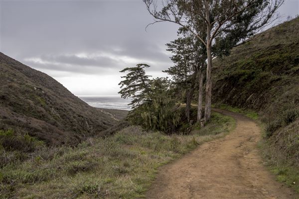 Harmony Headlands State Park (SP) (11/28/2016 - Credits: Brian Baer)