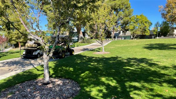 College of the Canyons - Honor Grove Quad (11/3/2021 - Credits: Leo Fialho)