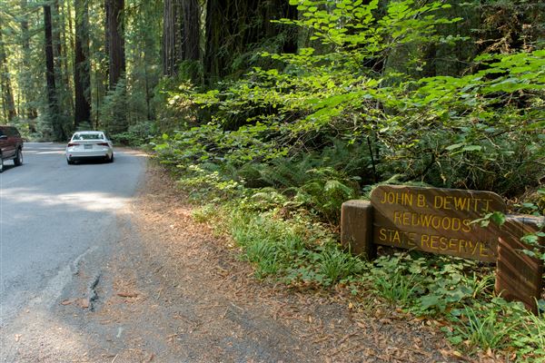 John B. Dewitt Redwoods State National Reserve (SNR) (8/21/2017 - Credits: Brian Baer)