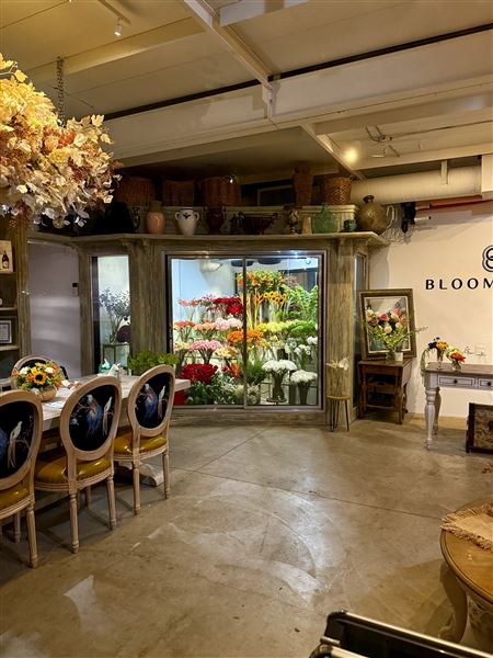 Bloom Boom (10/10/2025)
