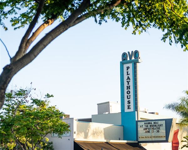 City of Vista - AVO Playhouse (10/17/2025 - Credits: Vista)