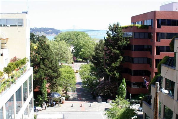 Filbert Steps (10/24/2025 - Credits: San Francisco City & County Film Commission)