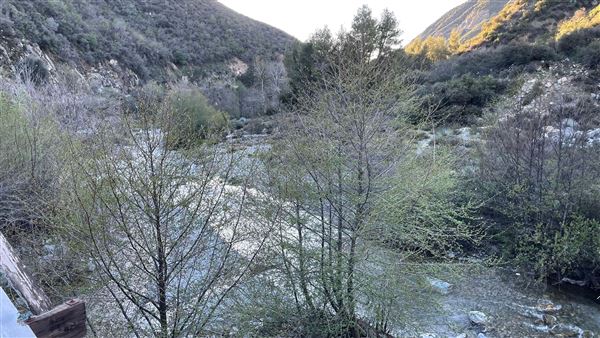 Cattle Canyon Bridge - Angeles National Forest (3/7/2022 - Credits: Leo Fialho)