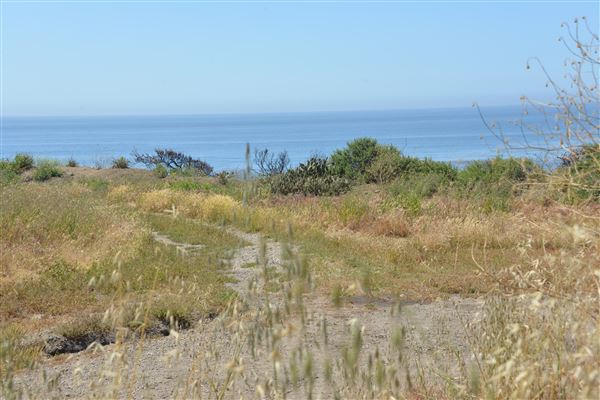 El Pescador State Beach @ Robert H. Meyer Memorial State Beach (SB) - CFC (4/17/2019 - Credits: Leo Fialho)