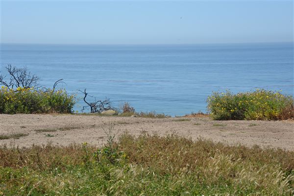 El Pescador State Beach @ Robert H. Meyer Memorial State Beach (SB) - CFC (4/17/2019 - Credits: Leo Fialho)