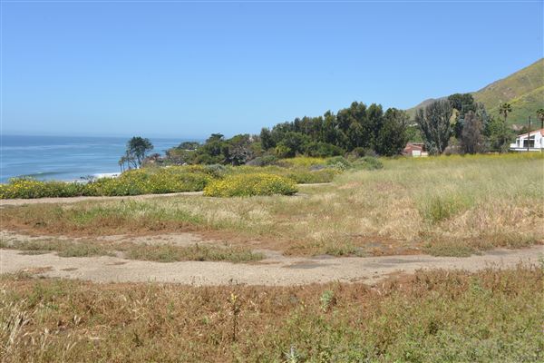 El Pescador State Beach @ Robert H. Meyer Memorial State Beach (SB) - CFC (4/17/2019 - Credits: Leo Fialho)