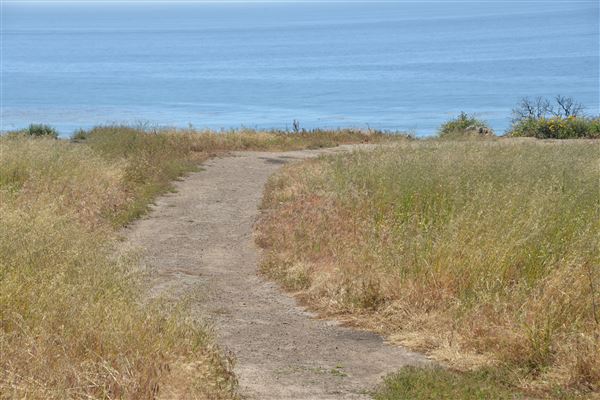 El Pescador State Beach @ Robert H. Meyer Memorial State Beach (SB) - CFC (4/17/2019 - Credits: Leo Fialho)