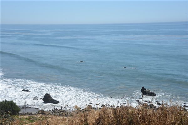 El Pescador State Beach @ Robert H. Meyer Memorial State Beach (SB) - CFC (4/17/2019 - Credits: Leo Fialho)