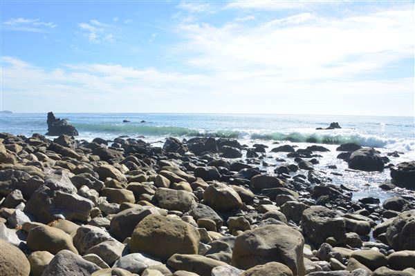 El Pescador State Beach @ Robert H. Meyer Memorial State Beach (SB) - CFC (11/14/2017 - Credits: Leo Fialho)