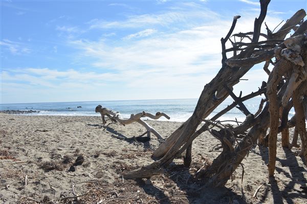 El Pescador State Beach @ Robert H. Meyer Memorial State Beach (SB) - CFC (11/14/2017 - Credits: Leo Fialho)
