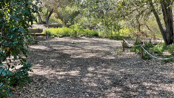 Descanso Gardens - California Garden (3/7/2022 - Credits: Leo Fialho)