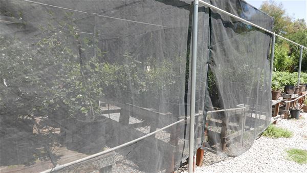 Descanso Gardens - Plant Propagation Greenhouse (7/26/2017 - Credits: Leo Fialho)