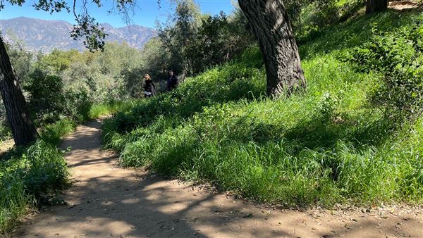 Descanso Gardens - Hopes Garden (3/7/2022 - Credits: Leo Fialho)