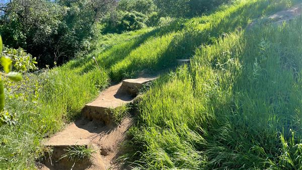 Descanso Gardens - Hopes Garden (3/7/2022 - Credits: Leo Fialho)