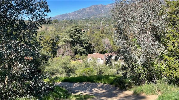 Descanso Gardens - Hopes Garden (3/7/2022 - Credits: Leo Fialho)