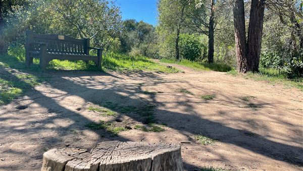 Descanso Gardens - Lake (3/7/2022 - Credits: Leo Fialho)