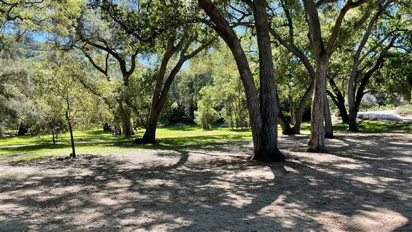 Descanso Gardens (3/7/2022 - Credits: Oak Grove)