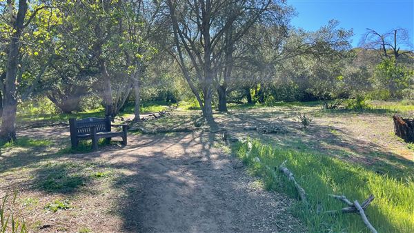 Descanso Gardens - Oak Woodland (3/7/2022 - Credits: Leo Fialho)