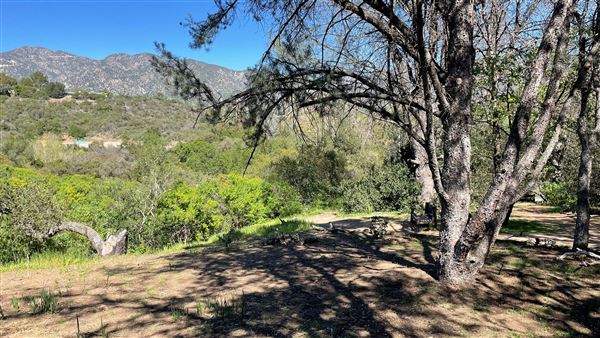 Descanso Gardens - Oak Woodland (3/7/2022 - Credits: Leo Fialho)