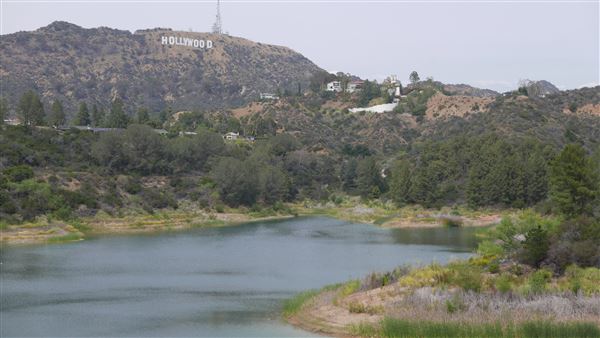Hollywood Reservoir - LADWP (5/3/2016 - Credits: Leo Fialho)