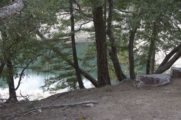Crystal Lake Recreation Area / Campground - Angeles National Forest (1/30/2015 - Credits: Leo Fialho)