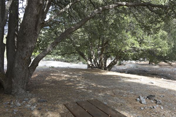 Crystal Lake Recreation Area / Campground - Angeles National Forest - Camping Loop A - Site 2 (1/30/2015 - Credits: Leo Fialho)