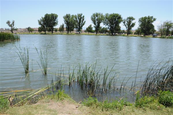 Mojave Narrows Regional Park - Pelican Lake (7/6/2012 - Credits: Leo Fialho)