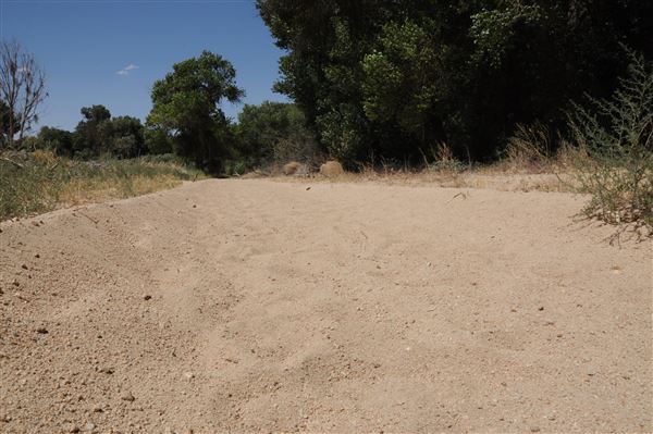 Mojave Narrows Regional Park - Pelican Lake (7/6/2012 - Credits: Leo Fialho)