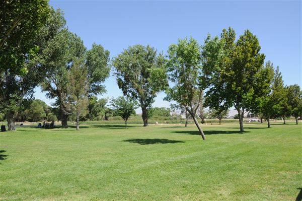 Mojave Narrows Regional Park - Pelican Lake (7/6/2012 - Credits: Leo Fialho)