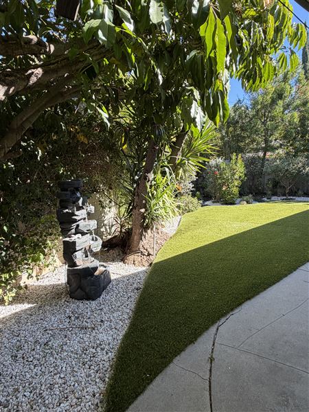 Encino (11/9/2025 - Credits: Photo by Elham Zarabi)