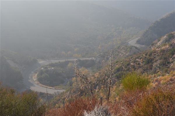 Angeles Crest Highway - SR2 - Between MM 37.21 & Red Box Picnic Area (11/16/2016 - Credits: Leo Fialho)
