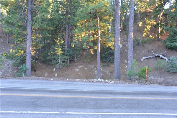 Angeles Crest Highway - SR2 - MM 60.69 - 60.0 Vista Day Use Area - Mt Waterman (Outside TMZ) (7/28/2017 - Credits: Leo Fialho)