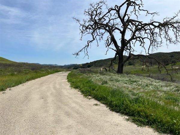 Big Sky Movie Ranch - Roads & Vistas & Forest (11/17/2025 - Credits: Owner)