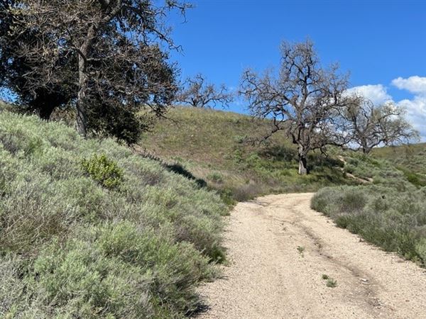 Big Sky Movie Ranch - Roads & Vistas & Forest (11/17/2025 - Credits: Owner)