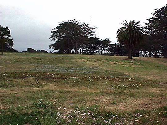 Locke Paddon Park (12/31/2003)