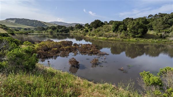 Fort Ord National Monument - Boy Scout Lake (12/3/2025 - Credits: Matt Tillett - Bureau of Land Management)