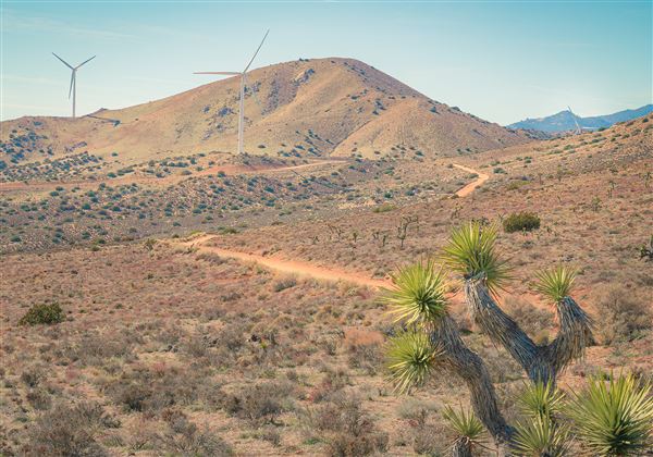 Jawbone Canyon (12/4/2025 - Credits: Jesse Pluim - Bureau of Land Management)