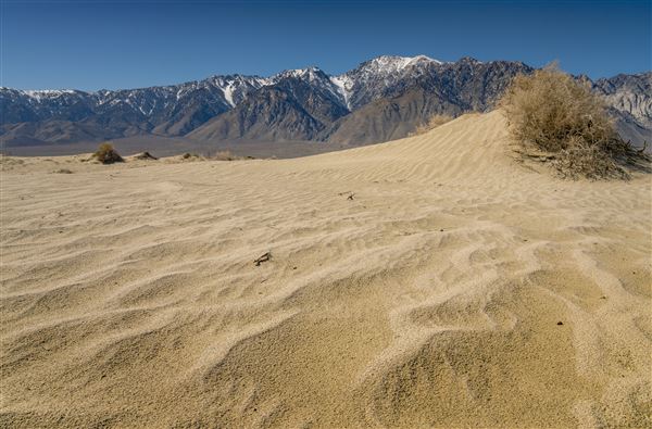 Olancha Sand Dunes - Bureau of Land Management - California Desert District - Ridgecrest Field Office - BLM - Off Highway Vehicle Area - OHV (12/4/2025 - Credits: Jesse Pluim - Bureau of Land Management)