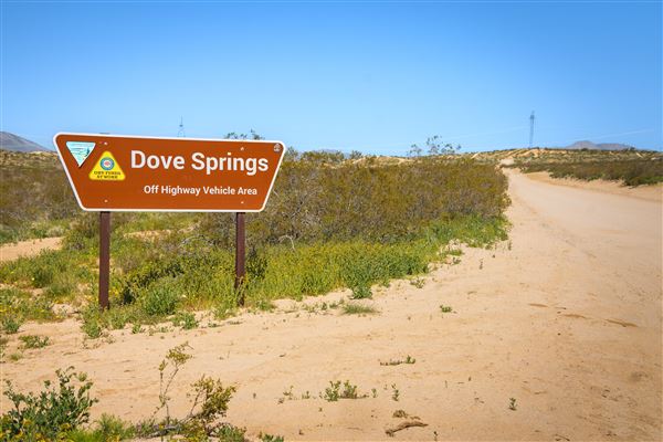 Dove Springs  B L M (12/8/2025 - Credits: Jesse Pluim - Bureau of Land Management)