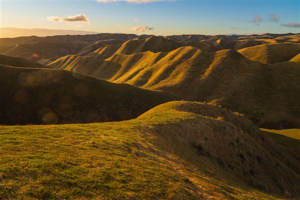 Panoche Hills - BLM (12/8/2025 - Credits: Jesse Pluim - Bureau of Land Management)