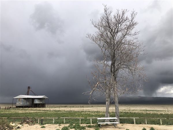 Carrizo Plain National Monument (12/11/2025 - Credits: Russ Namitz - Bureau of Land Management)