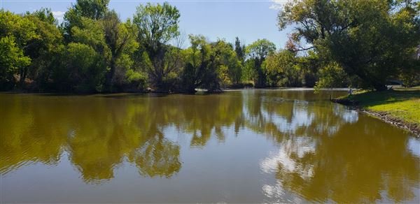 The Painted Turtle Camp - Lakes (7/17/2025 - Credits: David Halver)