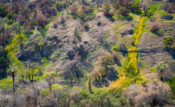 City of Coalinga - Coalinga Mineral Springs (4/29/2021 - Credits: Public Doman: Photo by Jesse Pluim, BLM)