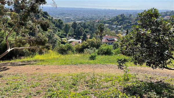 Griffith Park Redwoods - Cedar Grove - Cedar Grove Trail (3/16/2022 - Credits: Leo Fialho)