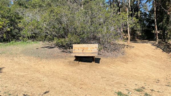 Griffith Park Redwoods - Cedar Grove - Cedar Grove Trail (3/16/2022 - Credits: Leo Fialho)